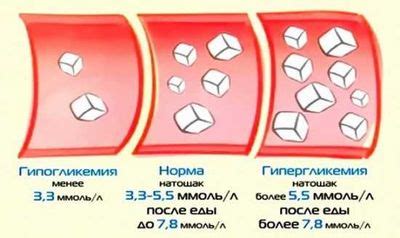 Что такое гликемия и как она связана с здоровьем?