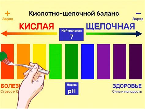 Что такое закисление организма