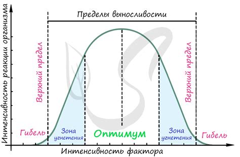 Что такое закон оптимума?