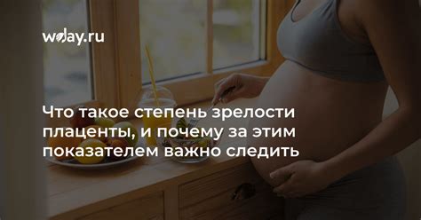 Что такое зрелость плаценты?