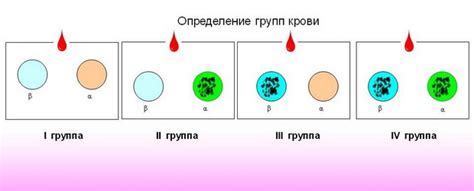 Что такое изосенсибилизация по аво?