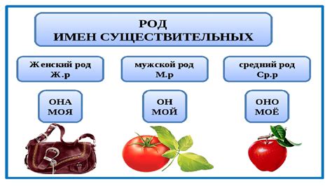 Что такое именное существительное?