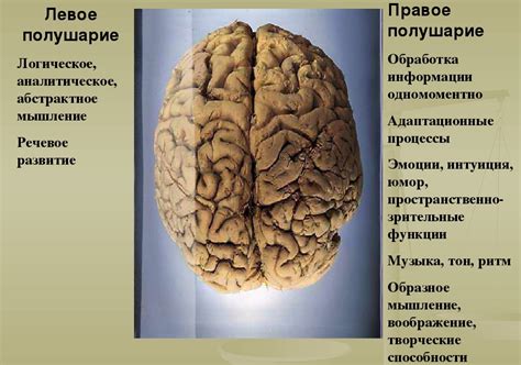 Что такое интеллектуальные чувства