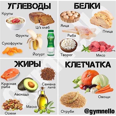 Что такое исходные продукты и зачем они нужны?