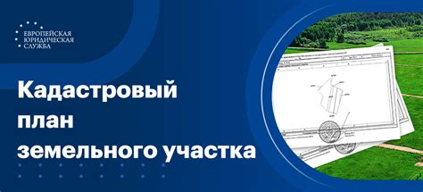 Что такое кадастровый план земельного участка и как он помогает