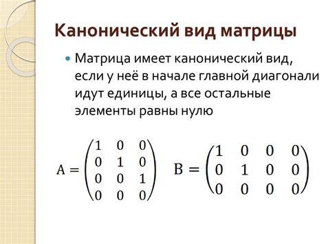 Что такое канонический вид матрицы?