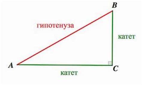 Что такое катет прямоугольного треугольника?