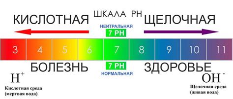 Что такое кислотно-щелочной баланс?