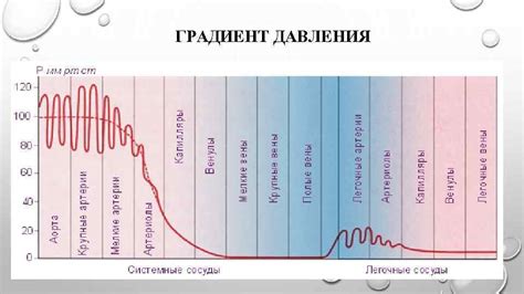 Что такое клинический ординатор