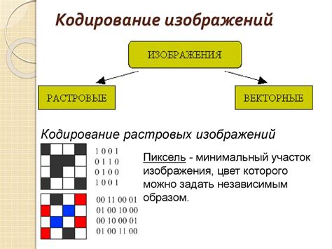 Что такое кодирование белка