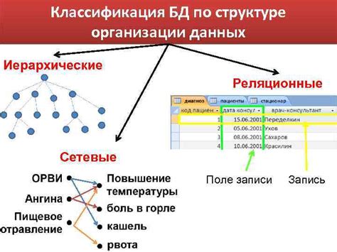 Что такое коллерация в базах данных?