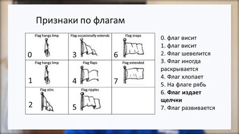 Что такое команда while и как ее использовать?