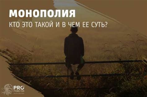 Что такое компания-монополист?