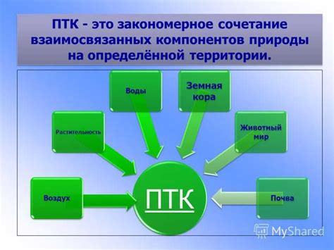 Что такое комплексы у людей и какие их типы?