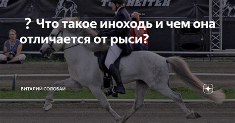 Что такое конь иноходец?