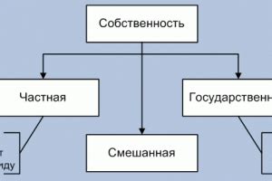 Что такое кооперативная организация?