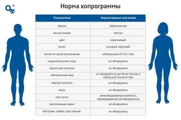 Что такое копрограмма стеркобилин положительная?