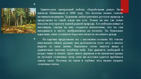 Что такое корабельная роща и какая история стоит за этим термином?