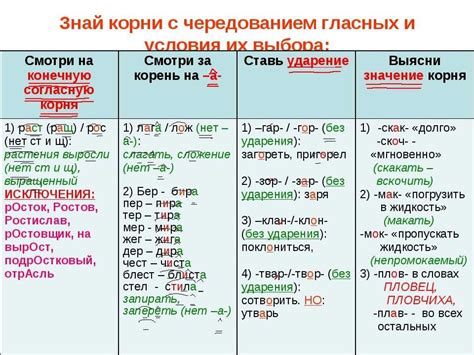 Что такое корень в русском языке?