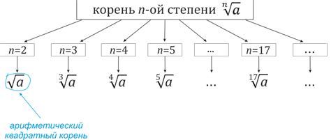 Что такое корень фил и зачем он нужен?