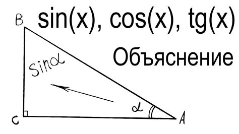 Что такое косинус: определение и применение