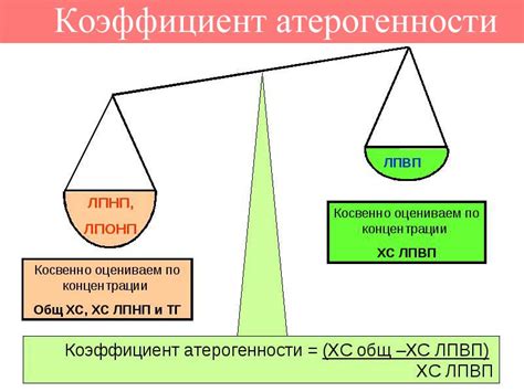 Что такое коэффициент атерогенности?