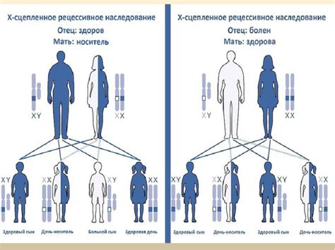 Что такое кровосмешение?