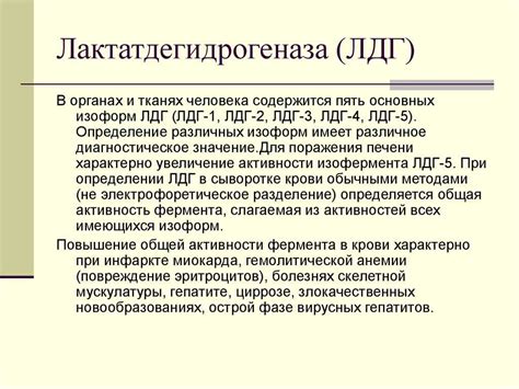 Что такое лактатдегидрогеназа (ЛДГ) и как она связана с состоянием здоровья?