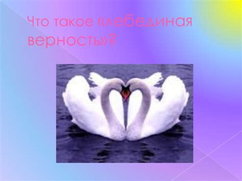 Что такое лебединая речь?