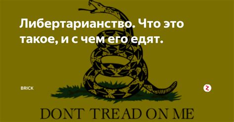 Что такое либертарианство и каковы его основы?