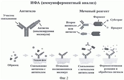 Что такое мазок флора палочковая обильная?