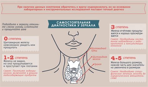 Что такое маленький объем щитовидки?