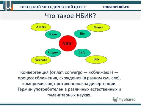 Что такое методический проект?