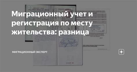 Что такое миграционный учет и почему его нужно вести?