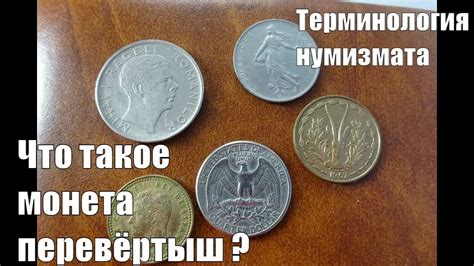 Что такое монета лысая