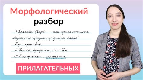 Что такое морфологический разбор прилагательного?