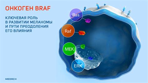 Что такое мутация BRAF?