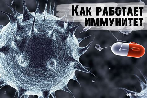 Что такое нарушение иммунной системы и как оно проявляется?