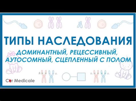 Что такое наследование автосомно?