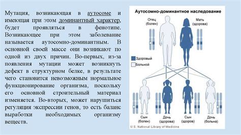 Что такое наследование по аутосомно доминантному типу?