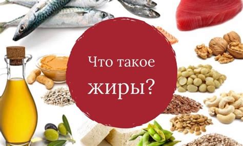 Что такое насыщенные жиры?