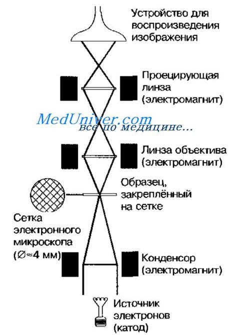 Что такое нативное средство?