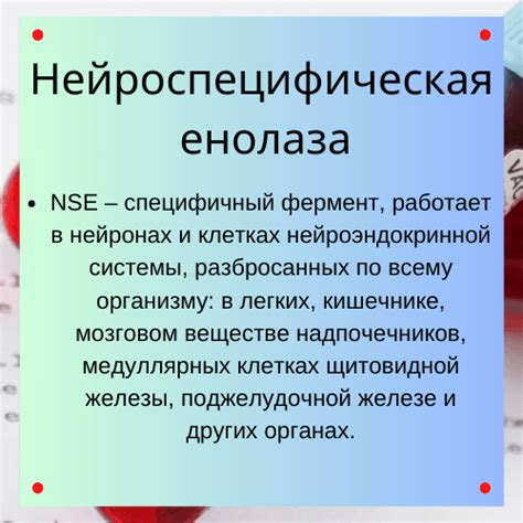 Что такое нейронная специфичная енолаза (NSE)?