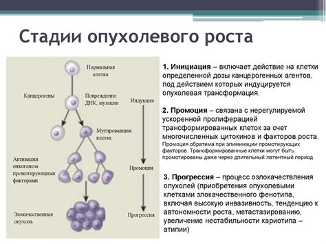 Что такое неопластический процесс в почке?