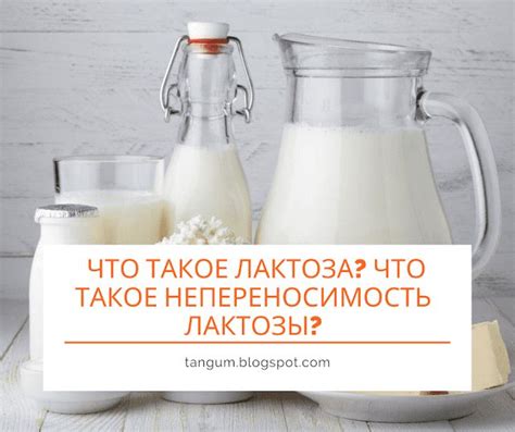 Что такое непереносимость лактозы