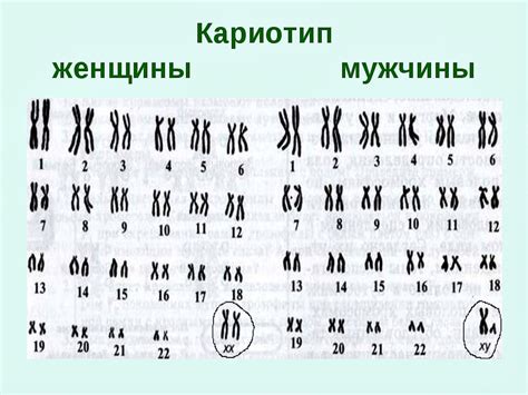 Что такое несбалансированный мужской кариотип?