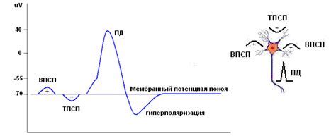 Что такое несоответствия и почему они возникают?