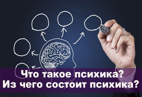 Что такое неуравновешенная психика?