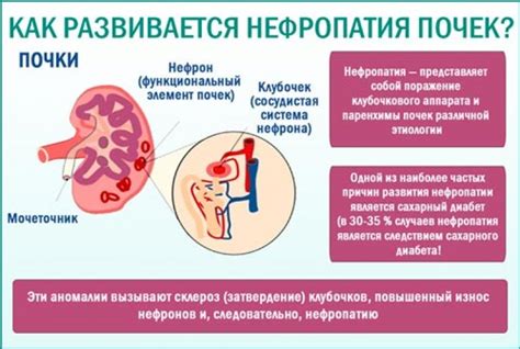 Что такое нефропатия почек?