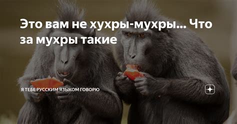 Что такое не хухры мухры?